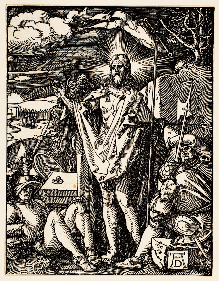   阿尔布雷特·丢勒Albrecht Dürer——素描与版画 (136)